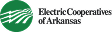 Arkansas-Electric-Cooperative-Corporation-Logo-Vector.svg--300x86 1