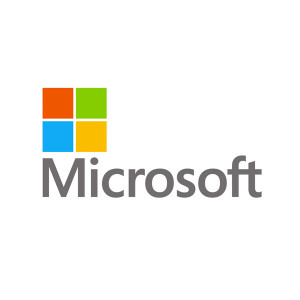 Microsoft Partner logo